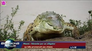 MIAMI  DÉVORÉE PAR UN ALLIGATOR QU’ELLE PROMENAIT SES CHIENS [upl. by Alacim449]