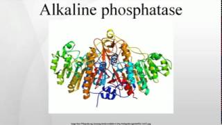 Alkaline phosphatase [upl. by Aman]