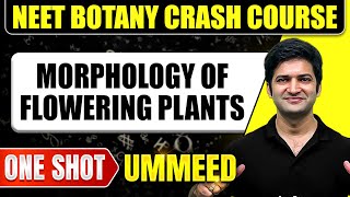 MORPHOLOGY OF FLOWERING PLANTS in 1 Shot All Concepts Tricks amp PYQs  NEET Crash Course  Ummeed [upl. by Niwde]