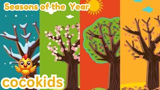 🔴Four Seasons of the Year Song  Cocokidsch nursery rhymes and kids songs [upl. by Dlorej]