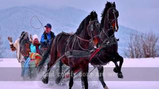 SLEIGH RIDE  The Carpenters Lyrics [upl. by Aneeuqal982]