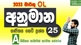 Guessing questions  Anumana prashna  OL exam 2023 march  Paper discussion in sinhala  ganithaya [upl. by Conlon]