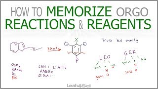 How to Memorize Organic Chemistry Reactions and Reagents Workshop Recording [upl. by Nilok735]