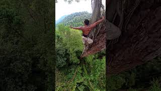 Tree Climbing Challenge shortvideo [upl. by Calie284]