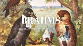 （一小時版本）布拉姆斯  第三號小提琴奏鳴曲 作品108號第一樂章  Brahms Violin sonata no 3 in D minor Op 108  allegro [upl. by Stretch241]