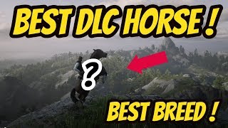 Best DLC Horse in Red Dead Redemption 2 RDR2 [upl. by Fayre231]