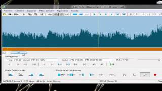 Editor de Audio MP3DirectCut 2013 [upl. by Kaasi]