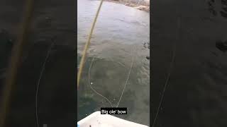 Streamer fishing Montana rivers off of a drift boat in the Wintertime [upl. by Strephon176]