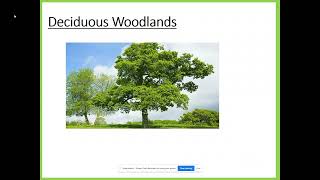 Deciduous Woodland Climate and Adaptations Geography Y10amp11 [upl. by Fein]