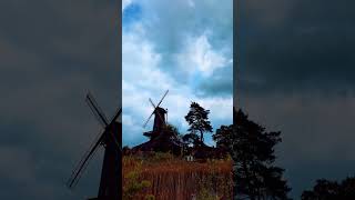 Mühlenmuseum Gifhorn seetheworld shorts youtubeshorts short visitgermany reisen womotour [upl. by Platas]