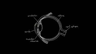 Dioptrie aberration et œil humain [upl. by Jaine]