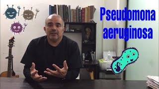 Características patogenia y virulencia de Pseudomona aeruginosa [upl. by Yebba819]