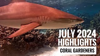 July 2024 Highlights 4k  Coral Gardeners Adopt A Coral [upl. by Izmar]