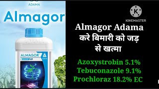 Almagor fungicide Adama agriculture Azoxystrobin 51 Tebuconazole 91Prochloraz 182 Ec [upl. by Decker]