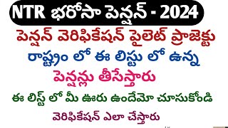 Ntr pension latest news 2024ntr pension verification full detailsntr pension పైలెట్ ప్రాజెక్ట్ [upl. by Enyaw448]