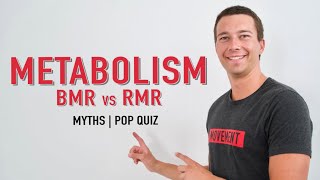 Metabolic Rate Explained  BMR vs RMR [upl. by Ycul]