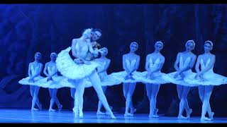 Swan Lake I Tour in The Netherlands 2024 I Teaser [upl. by Geordie905]