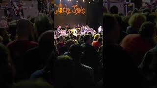 Circle Jerks live in 2024 oldschoolpunk punkrock circlejerks livemusic [upl. by Pattin489]