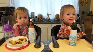 Twins try Irish soda bread [upl. by Churchill]