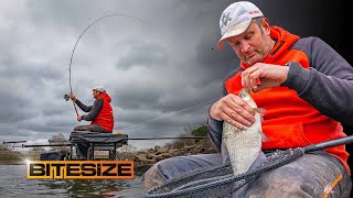 Steve Ringers ULTIMATE Skimmer Feeder Fishing Tips  Guru Bitesize 050 [upl. by Zasuwa]