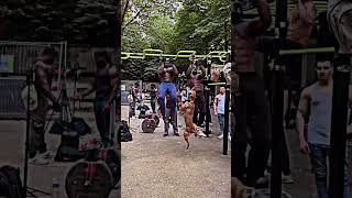 Bodywork and strong dog gym viralvideo motivation treandingshort fyp dog bodybuilding [upl. by Akzseinga]