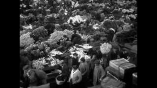 Les Halles Paris 1931 [upl. by Ynamad367]