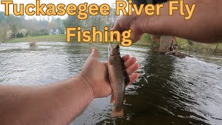 Tuckasegee River Fly Fishing [upl. by Warrin]