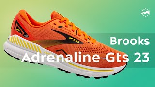 Кроссовки Brooks Adrenaline Gts 23 Обзор [upl. by Bock345]