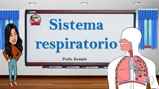 Sistema respiratorio [upl. by Ynnahc]