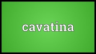 Cavatina Meaning [upl. by Nevai]