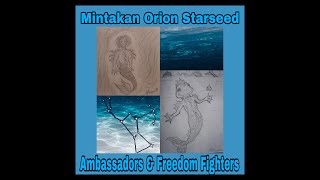 Orion Mintakan Starseeds Ambassadors and Freedom Fighters [upl. by Floeter245]