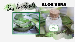 Comment extraire le Gel dAloé  Véra [upl. by Aieken]