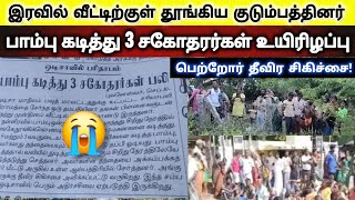 மனதை உருக்கிய சம்பவம் 😭 வீட்டுக்குள் தூங்கியவர்களை ஒரே பாம்பு நான்கு நபரை கடித்தது😭  SnakeSaga [upl. by Cheshire]