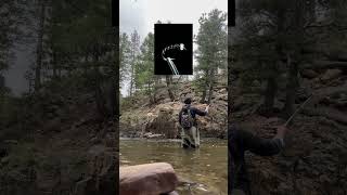 Fly fishing in Colorado flyfishing [upl. by Lacsap986]