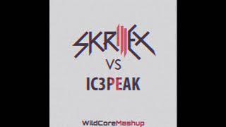 Skrillex VS IC3PEAK  THIS WORLD IS SICK Mashup [upl. by Adnamar]