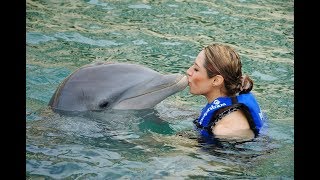 Adriana Macías Nado con Delfines  Delphinus Cancún 2012 [upl. by Assila]