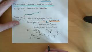 Protein Folding and Protein Folding Diseases Part 2 [upl. by Aix]