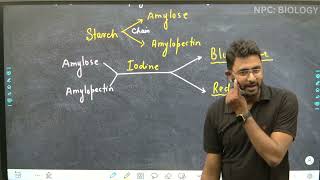 L14  Polysaccharides  Carbohydrate  Biomolecules  Class 11th  NEET [upl. by Wonacott]