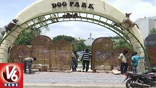 GHMC To Launch Dog Park In Kondapur Hyderabad  V6 News [upl. by Drusie]