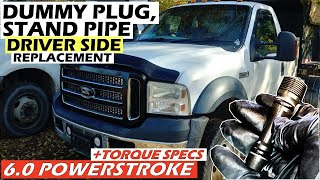 60 POWERSTROKE 200452007 InDepth DRIVER Side Dummy Plug Stand Pipe Replacement [upl. by Amluz]