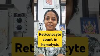 Physiology  hemolytic anemia mbbs1styear physiologyvideos medicosstudypoint [upl. by Fowle]