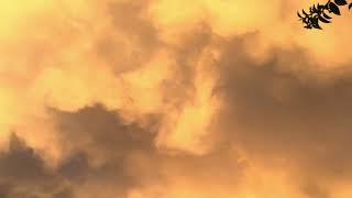 Mammatus Clouds and Rainbow from Huge Storm in Sanger California [upl. by Philomena]