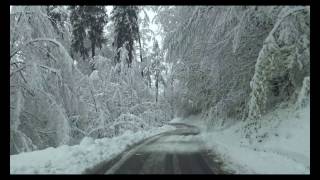 Schneebruch in Hausen am Albis 28042017 [upl. by Shanie659]