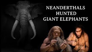 Neanderthals Hunted Massive Elephants That Once Roamed Northern EuropeTheCosmosNews [upl. by Esinaej]