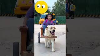 O cachorro está levando a menina para casa 🐕👧🏠 [upl. by Channing447]