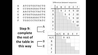 Creating a Phylogenetic Tree [upl. by Nivla]