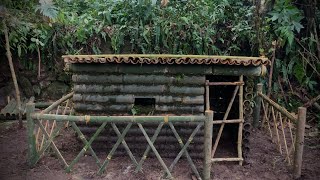 5Days bushcraft bamboo house in forest  build warm amp survival 🛖 [upl. by Arytas450]