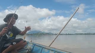 Niat Mancing Udang Malah Diserang Ikan Baung [upl. by Aleunamme]