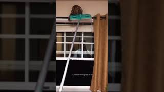 Man Saves Owl from His Home 😲 [upl. by Caldera819]