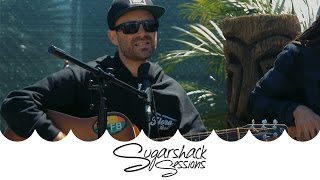 The Movement  Dancehall Live Music  Sugarshack Sessions [upl. by Ardnajela]